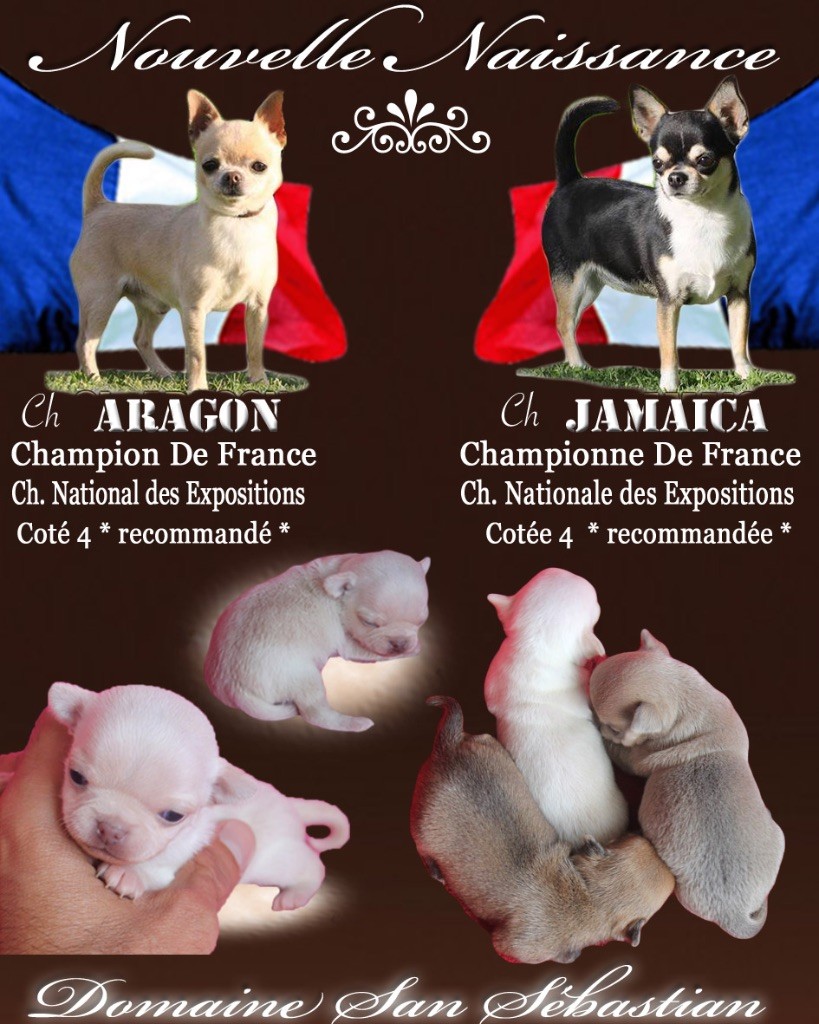 du Domaine San Sébastian - Nouvelle Naissance
