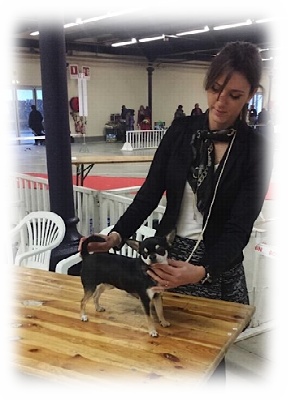 du Domaine San Sébastian - Paris Dog Show